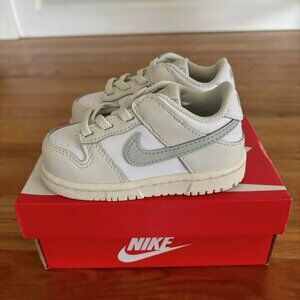 NIB Toddler Nike Dunks size 6c